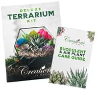 Terrarium Kit with Succulent Soil, Pebbles & Crystal Gems, Small