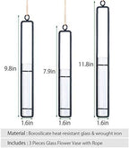 Aoderun Hanging Glass Planter Water Iron Art Hydroponic Vase Transparent Test Tube Flower Hanging Bottle Home Decoration (3pcs-S,M,L)
