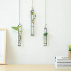 Aoderun Hanging Glass Planter Water Iron Art Hydroponic Vase Transparent Test Tube Flower Hanging Bottle Home Decoration (3pcs-S,M,L)
