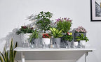 Self Watering Planter for Indoor Plants, 2 Pack 9.3 Inch Flower Pot Modern Decorative Plastic Planter with Extra Large Water Storage for All House Plants, Flowers, Herbs(White)