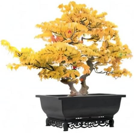 Planters 2-Pack Brown Recycled Plastic Rectangular Bonsai Pots, 14 Inch