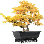 Planters 2-Pack Brown Recycled Plastic Rectangular Bonsai Pots, 14 Inch