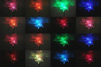 Solar Garden Stake Lights with Color Changing LED or Regular White LED Landscape Path Lights (Set of 2) (Turtle)