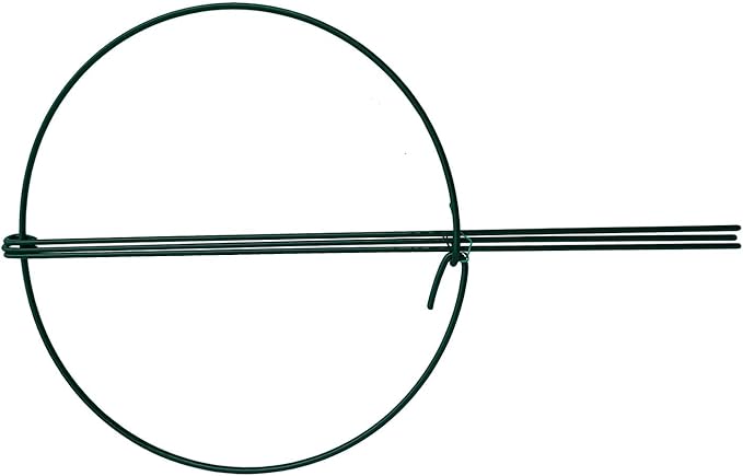 Plant Support Cage Rings, 10-Inch Wide x 16-Inch High, Green Steel