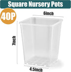 Nursery Pots 6 Inch 40 Pcs, Plastic Seed Starting Pot with Drainage Holes, Sturdy Seedling pots for Planting, Cuttings, Clear