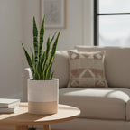 Nihow Self Watering Plant Pot: 6 Inch Ceramic Planter with Drainage Hole & Water Storage Plus for Indoor & Outdoor Plants - Cylinder Round Flower Pot for Succulent/Herbs/Violets - Cream White & Brown