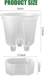 Cdd's Path 5-Pack 6 Inch Self Watering Naked Root Planter Pots with Drainage Holes & Reservoir, Plastic Planters with Air Pipes for Indoor Outdoor Plants，Clear