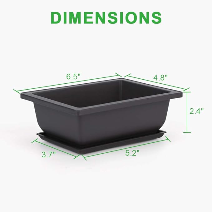 Bonsai Training Pots, 6-Pack, 6.5 Inch Black Plastic with Drainage
