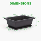 Bonsai Training Pots, 6-Pack, 6.5 Inch Black Plastic with Drainage