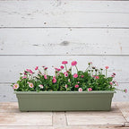 Novelty 16300 30" Flowerbox Sage, Inch