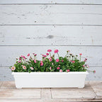 Root & Vessel Countryside Flower Box Planter, White, 30-Inch