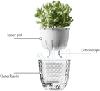 Self Watering Pots for Indoor Plants, Flower Pots, Self Watering Plant Pot-3pcs 6inch Clear