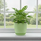 Plant Pots 8 Inch Set of 6, Flower Pots with Drainage Holes and Saucer, Plastic Garden Planters for Indoor & Outdoor Plants (Green)