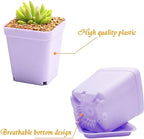 Anyumocz 24 Pack Plastic Square Nursery Pots 3 Inch Plastic Plant Pots,Flower Pot with Tray Saucer for Indoor Outdoor Garden Office Decor
