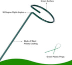 6PCS Single Stem Plant Support Stakes, 16 Inch Monstera Plant Support with 50 PCS Twist Ties, Garden Open Ring Plants Stake, Versatile Plants Stakes for Amaryllis, Rose, Tomatoes, Lily, Peony, Orchid
