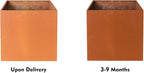 Corten Steel Planter Box Large Outdoor Planter 24 Inch Square Cube Planters Rustic Metal Garden Flower Pot for Commercial Residential Patio and Yard
