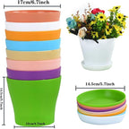 Tergy 20 Pack 7 Inch Plant Pots Bulk Small Plastic Planters Pots with Drainage Holes Flower Pot for Succulent, Cactus, Herb, African Violet