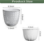 2 Pack 6 inch Self Watering Pots Planters for Indoor Plants, African Violets Pots with Wick Rope, Modern Plastic Nursery Pots for All House Plants,Flowers Succulents,Herbs,Cactus,Orchids