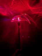 Solar Garden Stake Lights with Color Changing LED or Regular White LED Landscape Path Lights (Set of 2) (Dolphin)