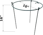 Plant Support Cage Rings, 10-Inch Wide x 16-Inch High, Green Steel