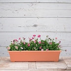 Root & Vessel 16305 Countryside Planter, 30-Inch, Terracotta