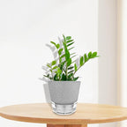 Plant Pots - 6" Orchid Pot, 5 Pack Orchid Pots with Holes - Self Watering Pots for Indoor Plants - Plant Pots with Drainage Hole and Tray Saucer (Frosted Gray)