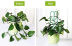 Garden Trellis for Climbing Plants 12 PCS Plastic Indoor Trellis for Potted Plants Green Stackable Mini Climbing Plant Stupport DIY Flower Pot Support for Pea Vegetable Clematis (12 Packs)