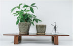 Docrin Dark Green Ceramic Planter Set - 6.6"+5.5" Indoor Outdoor Pots with Drainage Holes & Saucers for Home Office Decor