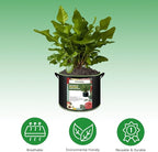 2-Pack 30 Gallon Plant Grow Bags, Thickened Nonwoven Fabric Pots with Handles,Sturdy Garden Planters Aeration Gardening Container to for Plants, Vegetables, and Flowers