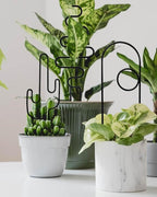 Small Plant Trellis for Climbing Plants Indoor - 13.8 Inch Trellis Indoor with Different Patterns for Vine Ivy Flower Plant Support, Metal Garden Trellis for Potted Plants, Set of 4 (Black)