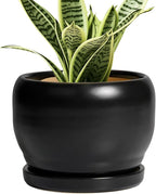 SQOWL Ceramic Plant Pot - 6 Inch Planter for Indoor Plants, Round Flower Pot with Drainage Hole and Saucer, Modern Succulent Planter Outdoor, House Decor, Plant Lovers Gifts, Black