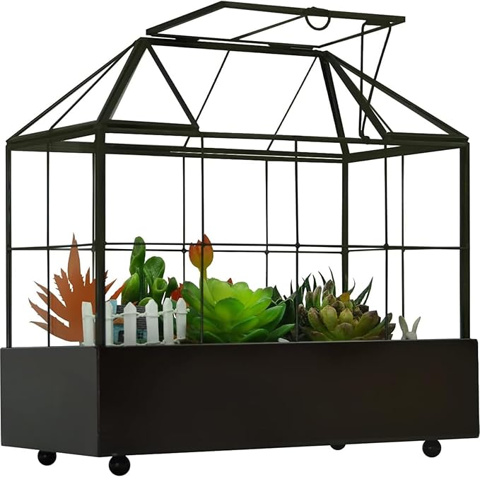 Terrarium House Shape Glass Greenhouse with Black Brass Frame and Tray