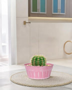 vensovo 10 Inches Pink Metal Rustic Plant Pots - 4 Pcs Large Shallow Galvanized Planters with Drain Hole and Rubber Plug, Rustproof Tin Bucket Succulent Pot Indoor Farmhouse Vintage Style for Decor