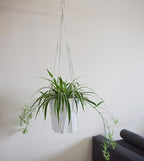 Macrame Plant Hanger Extra Long (52") Indoor Plant Holder with Beads, no Tassel- Long Plant Hanger for Tall Ceiling- Hanging Plant Holder for 6”-14”Pots -(1 Pack)