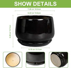 G EPGardening Ceramic Planter 7 Inch - Ceramic Pot for Plants with Drainage and Saucer, Round Plant Pots, Modern Indoor Outdoor Planter, Home Decor, Garden Gifts, Black