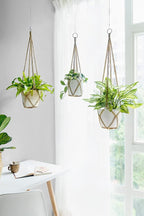 Dahey Macrame Plant Hanger Set of 3 with Hooks Indoor Hanging Planter Basket 35"/29"/23" Handmade Woven Cotton Rope Flower Pot Crochet Plant Holder Stand for Boho Home Decor No Tassels,Brown