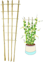 Natural Bamboo Trellis, 4.8Feet,3Pack,Fan-Shaped Plant Support Trellis for Outdoor and Indoor Potted Climbing Plants,Vegetables, Cucumber, Tomato, Hoya,