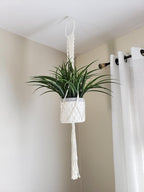Cuttte Macrame Plant Hanger, Indoor Outdoor Hanging Planter Basket, Hanging Plant Holders, Decorative Macrame Hangers, 4 Legs 43.3 Inch, Cream Color, Boho Decor