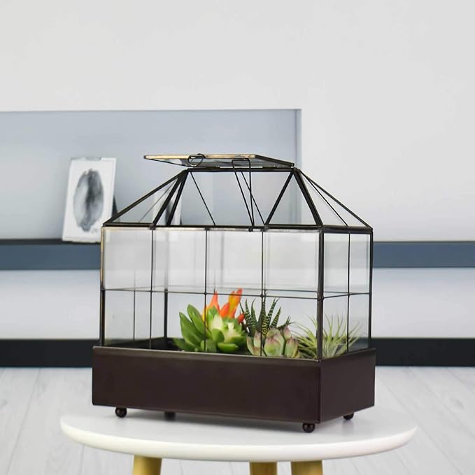 Terrarium House Shape Glass Greenhouse with Black Brass Frame and Tray