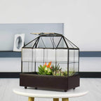 Terrarium House Shape Glass Greenhouse with Black Brass Frame and Tray