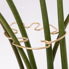 Monstera Plant Stem Support - 5 Piece Set, 4.13x2.95in Durable Leaf Holder & Fishbone Cactus Stake for Healthy Growth of Climbing Plants - Easy to Use Indoor Plant Decor