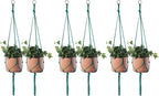 ELANE 6PCS Macrame Plant Hanger Indoor Hanging Planter Basket Decorative Tassels Flower Pot Holder for Indoor Outdoor Home Decor(6Pcs Green)