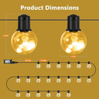 Outdoor String Lights, 25ft 20 LED Bulbs Hanging Patio Lights Dimmable with Timer & Remote, Globe Bulb Shatterproof & Waterproof for Outdoor Indoor Backyard Balcony Decor - Warm White & Multi
