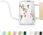 Watering Can Indoor Plants, 35oz Small Stainless Steel Metal Watering Can Modern Decorative Watering Pot with Long Spout for Indoor House Plant Bonsai Garden Flowers (White 1)