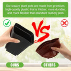 Square Nursery Pots 5.5 Inch, Plastic Plant Pot with Drainage Holes, 30 Pcs Reusable Seedling Starter Pots Garden Flower Pots Planters for Indoor Plants, Transplanting, Succulents, Cuttings