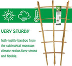 Natural Bamboo Trellis 24 Inches Tall, Mininfa Garden Ladder Trellis, Plant for Climbing Plants, Vegetables, Pots - 3 Pack