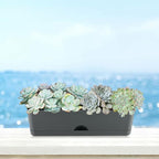 6 Pack Rectangle Planter 16x4.4 Inch Window Boxes Planters Rectangular Large Window Sill Planters Indoor Self Watering Plant Pots with Drainage Holes and Saucers Succulent Herb Flower Pots, Dark Grey
