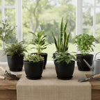 Plant Pots 8 Inch Set of 6, Flower Pots with Drainage Holes and Saucer, Plastic Garden Planters for Indoor & Outdoor Plants (Black)