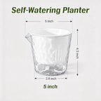 InmeRun Plant Pots Indoor Plastic Flower Pots Outdoor 5 inch Set of 6 Pack with Drainage Holes and Saucers for Garden Pots (self Watering 5in-6p)