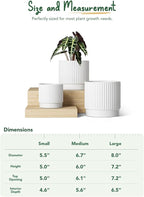 LE TAUCI Ceramic Pots for Plants, 8+6.7+5.5 Inch Plant Pots Indoor, Flower Pot with Drainage Holes, Medium Cylinder Planters for Indoor House Plants, Set of 3, White
